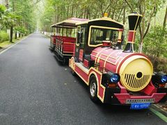 -合肥滨湖国家森林公园