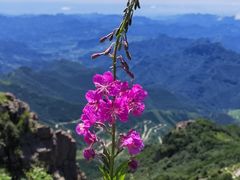-白草畔自然风景区