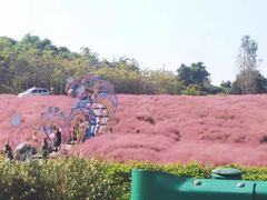 -金孔雀温泉旅游度假村