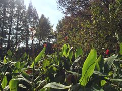 -瀛洲公园