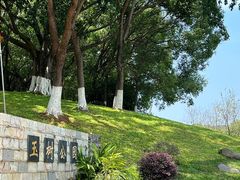 -玉树公园