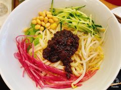 老北京炸酱面-吴记百姓菜馆·北京菜·烤鸭(故宫店)
