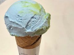 燕麦地球-Dal Cuore 达可芮冰淇淋(陕西北路店)