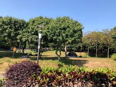 -立新湖公园