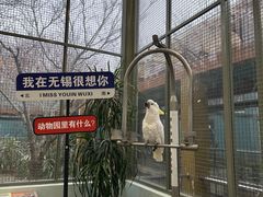 -无锡动物园·太湖欢乐园