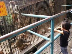 猴山-崆峒岩风景区