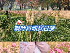 -尚贤河湿地