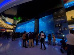 -迪拜水族馆及水下动物园