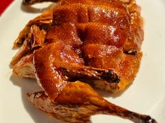 脆皮小乳鸭-圆苑(兴国路店)