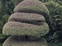 -苏州河梦清园环保主题公园