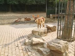 -无锡动物园·太湖欢乐园