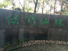 -云碧峰国家森林公园