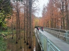 -福道