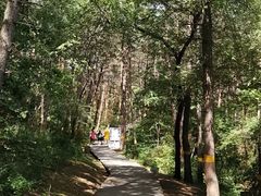 -帽儿山国家森林公园