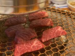 -青鹤谷(苏州店)
