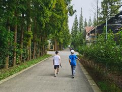 -前小桔亲子创意农场·草莓采摘·露营烧烤