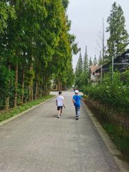 -前小桔亲子创意农场·草莓采摘·露营烧烤