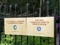 -五营红松林海景区