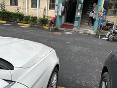 -高桥小香松糕