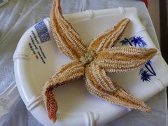 -宾朋海鲜美食餐厅·特色美食(兴海路店)