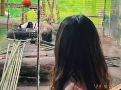 -柳州市动物园