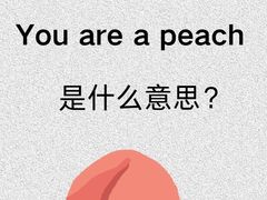 -菠萝国际教育专注Alevel·IGCSE·IB·AP·托福雅思培训辅导(静安校区)