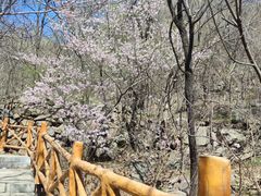-封龙山风景区