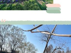 -上海辰山植物园