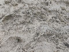 -武清南湖绿博园