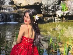 -东莞植物园
