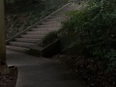 -上海佘山国家森林公园西佘山园