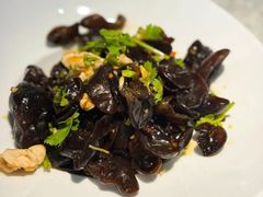 -洞庭家宴·头牌甲鱼(广渠门店)