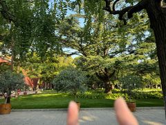 -北京市劳动人民文化宫(太庙)