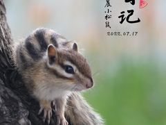 -长春市南湖公园