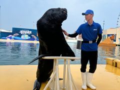 -秦皇岛乐岛海洋王国