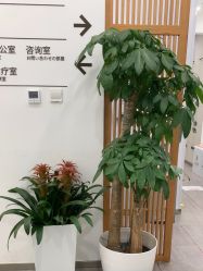 -和颜一美轻医美连锁