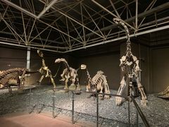 -世界恐龙谷景区