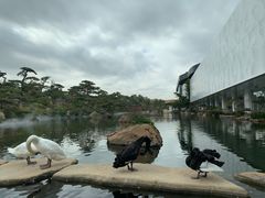 -罗红摄影艺术馆