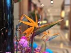 -济南香格里拉·咖啡泉自助餐厅