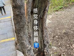 -洛阳白云山景区