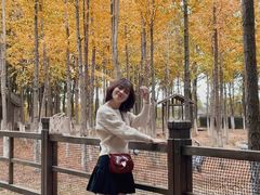 -艾溪湖湿地公园