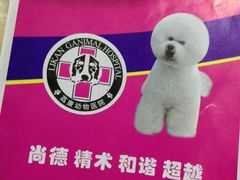 病历本-荔康动物医院(康王北路店)