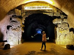 -武陵山森林公园