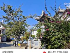 -洱海月湿地公园