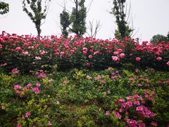 -云幽谷旅游区