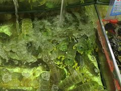 -东江海鲜酒家(艺都分店)
