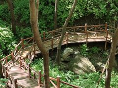 -大岭沟猕猴桃谷风景区