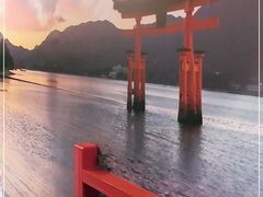 -白兔子密室(长寿路店)