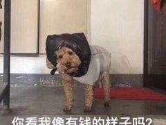 -麦当劳(南京南站站外店)