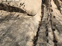 -北京凤凰岭